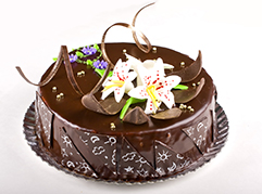 Chocolate Cake